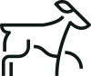 card icon